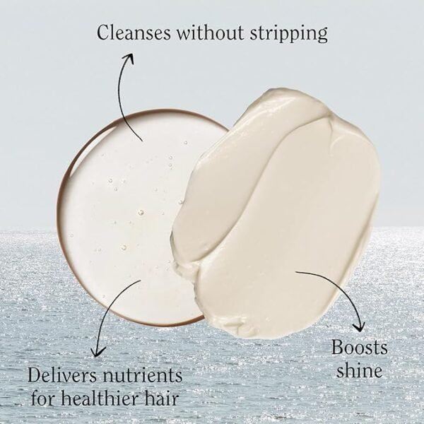 California Naturals Coconut Shampoo